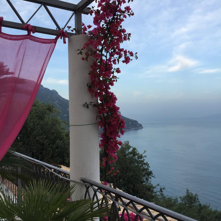 Bed and breakfast I Limoni