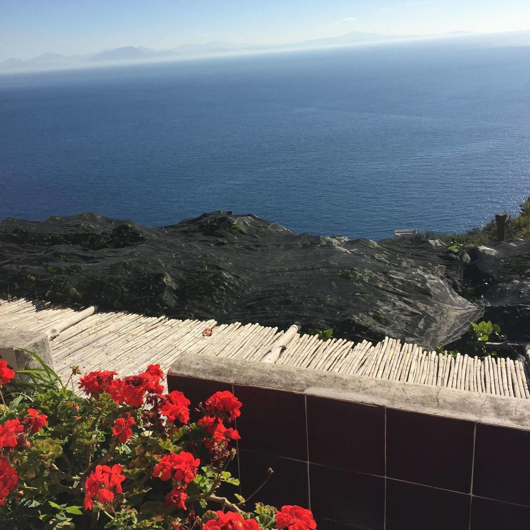 Bed and breakfast I Limoni