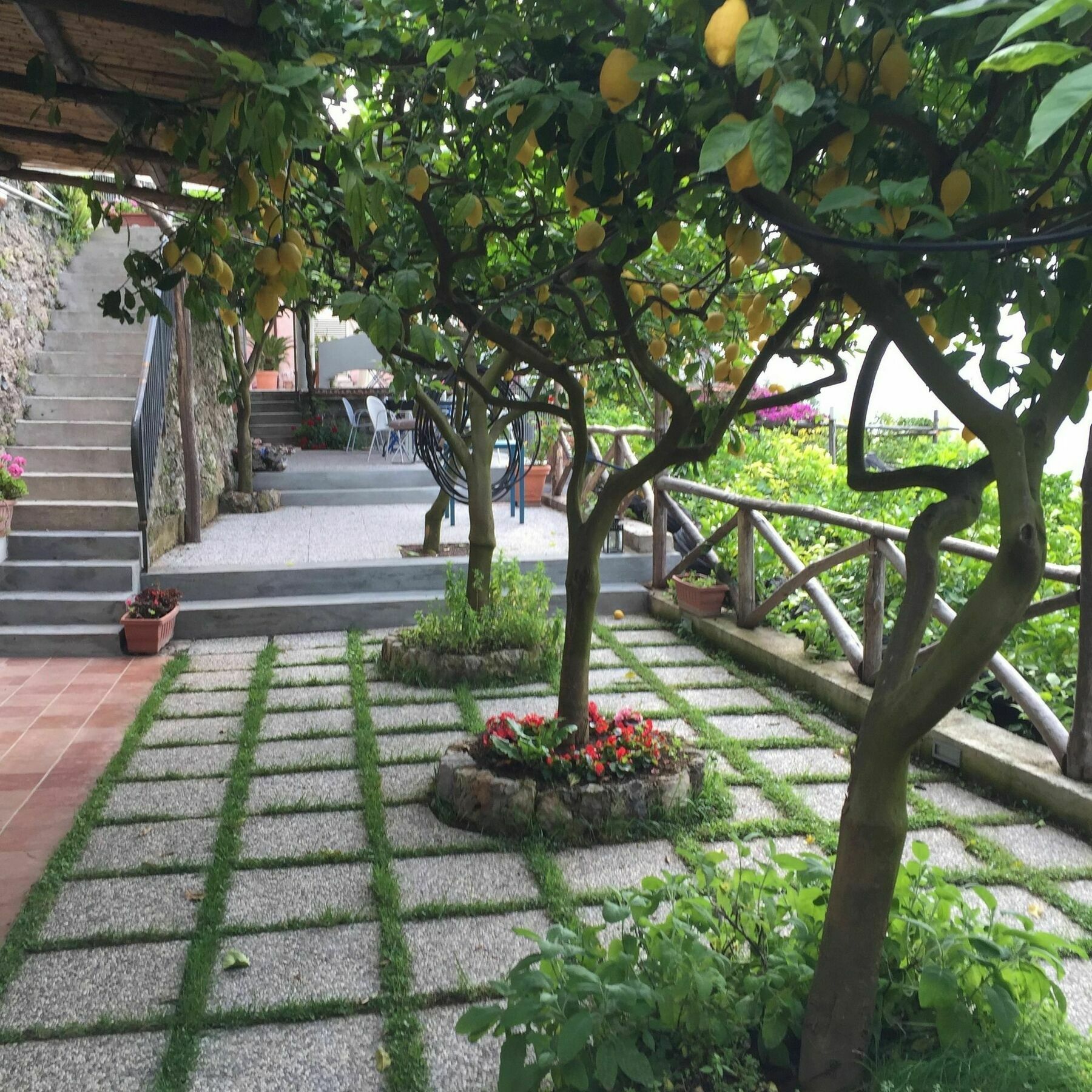 Bed and breakfast I Limoni Ravello